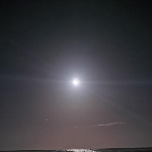 Photo #4911250