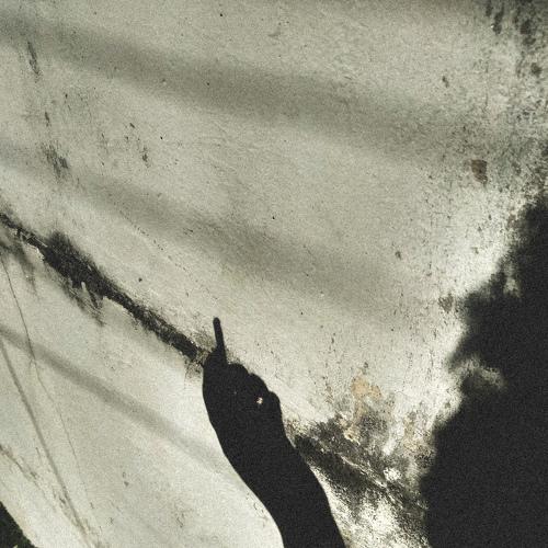 Photo #4911501