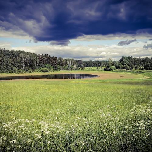 Photo #4911635