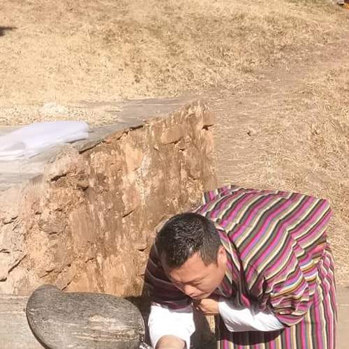 Photo #4911787