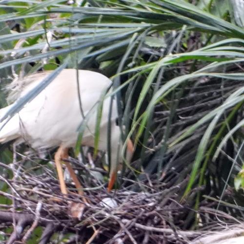 Photo #4912180