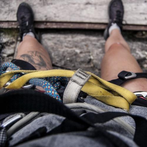 Photo #4912863