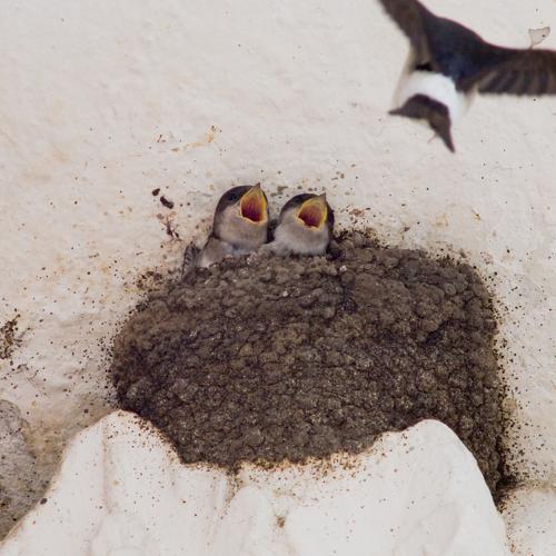 Photo #4913119