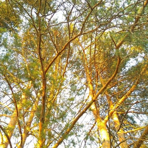 Photo #4913284