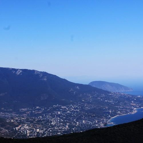 Photo #4914073