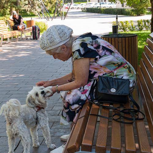 Photo #4914102
