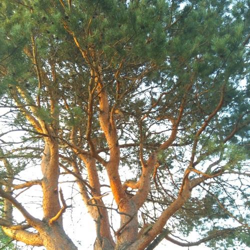 Photo #4914206