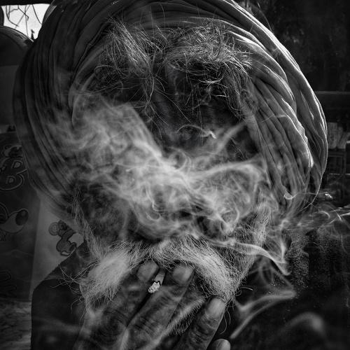 Photo #4914329