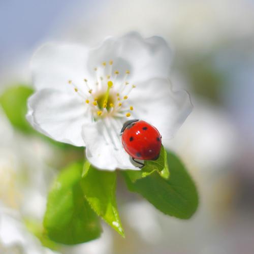 Photo #4914883