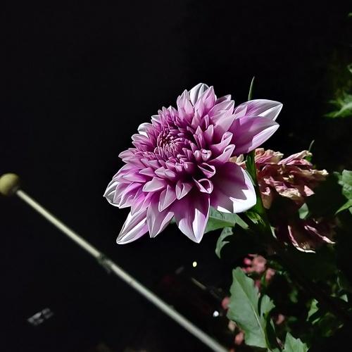 Night photography