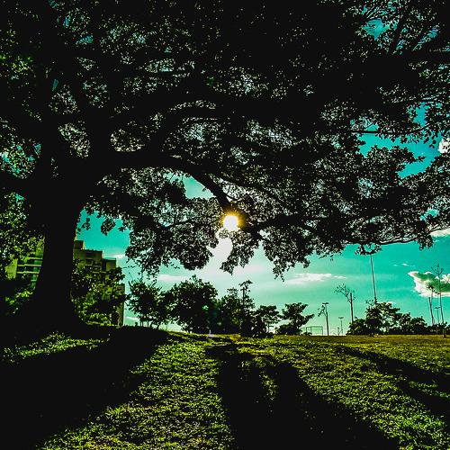 Photo #4915165