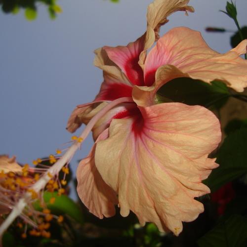 Photo #4915259