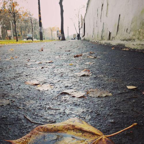 Photo #4915324