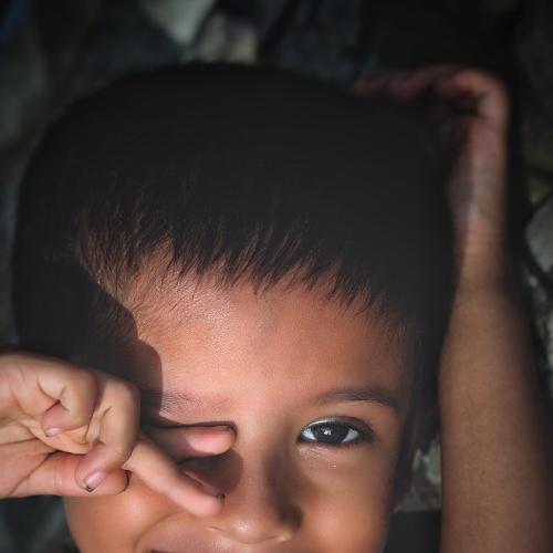 Photo #4915335