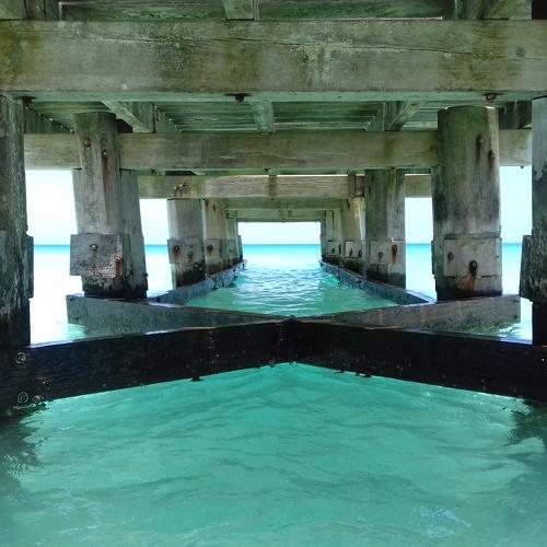 Photo #4915741
