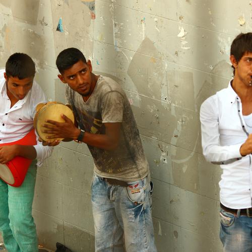 Photo #4915861