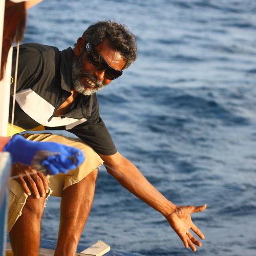 Photo #4915862
