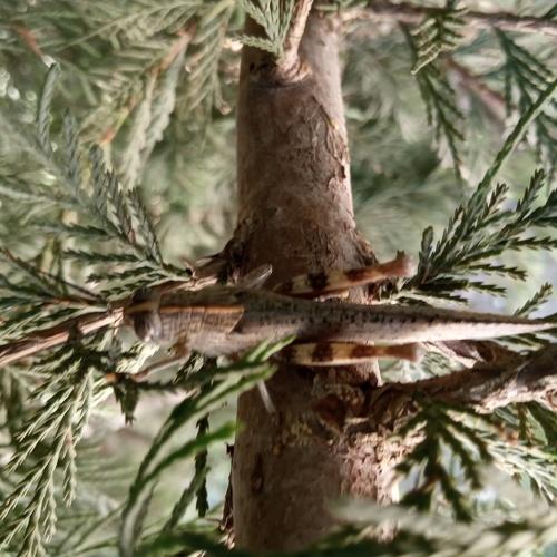 Photo #4915939