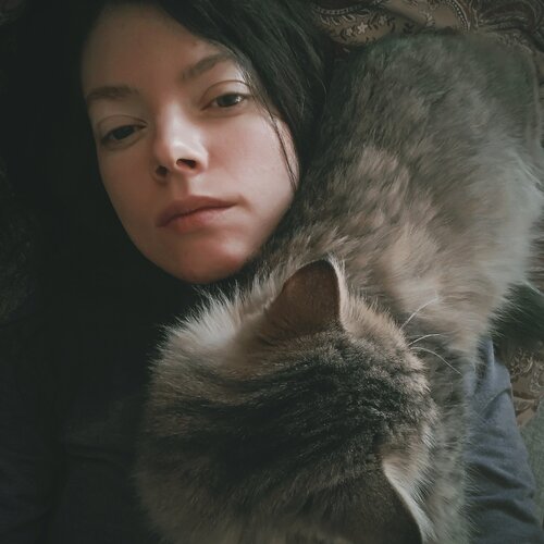 Photo #4916080