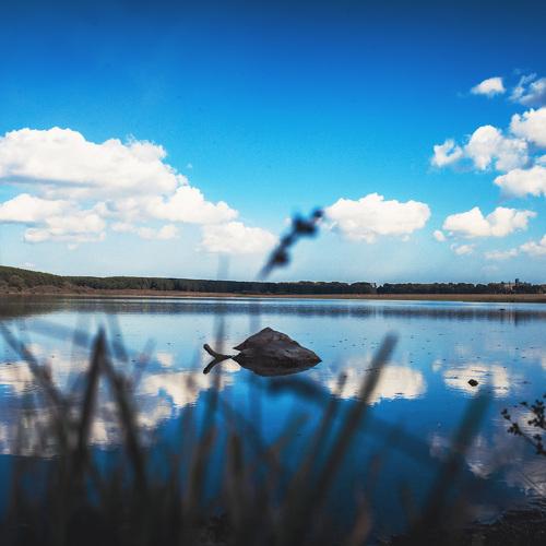 Photo #4917209
