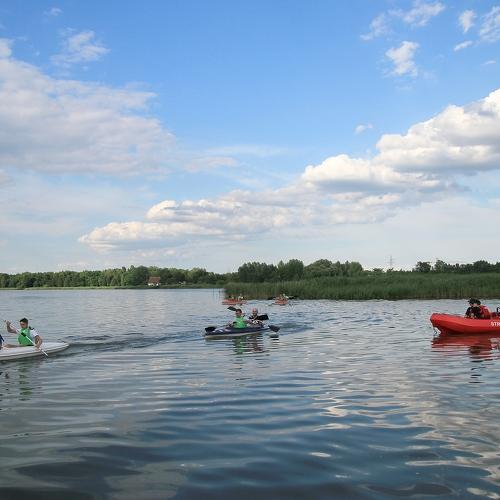 Photo #4917340