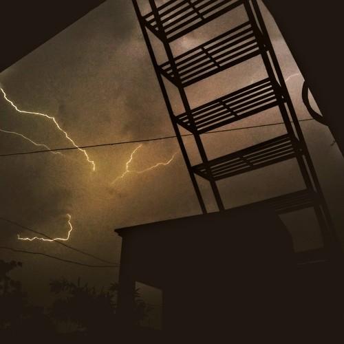 Photo #4917465