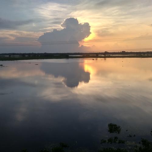 Beauty of nature