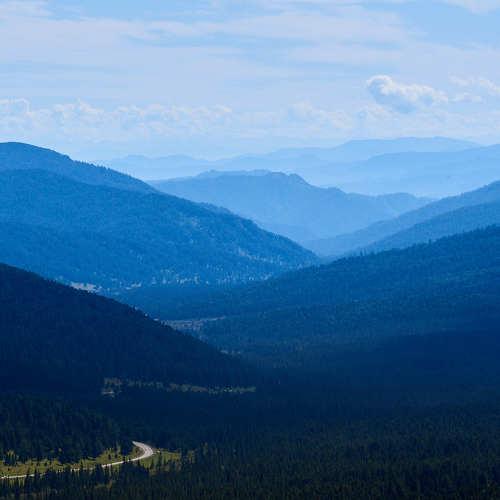 Photo #4917767