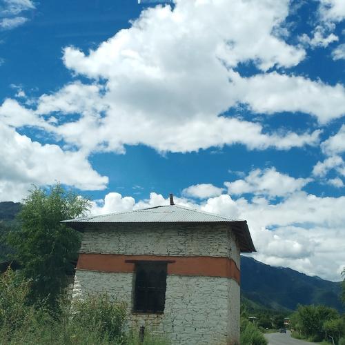 Photo #4917884
