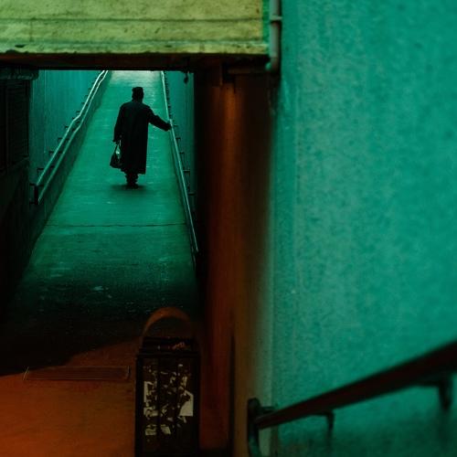 Photo #4917978