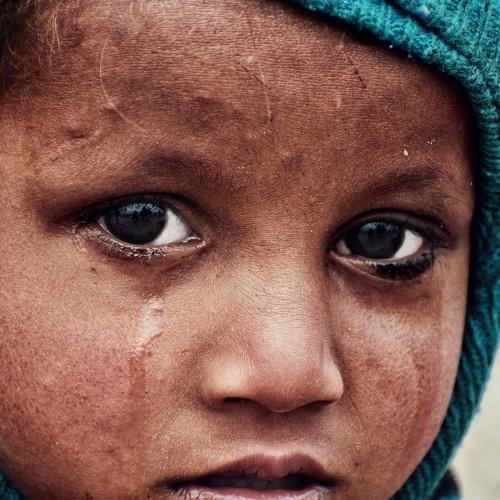 Photo #4918143