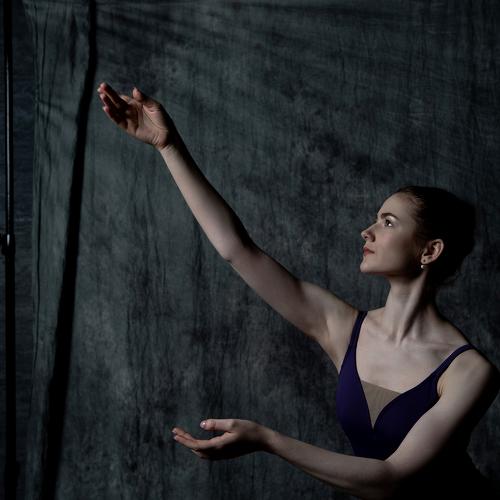 Photo #4918640