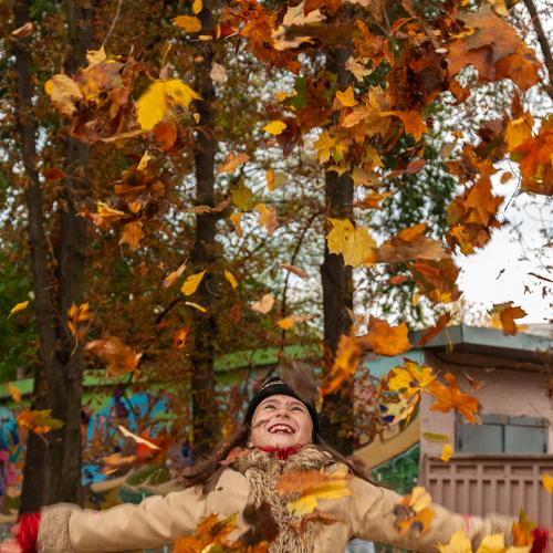 Photo #4919014