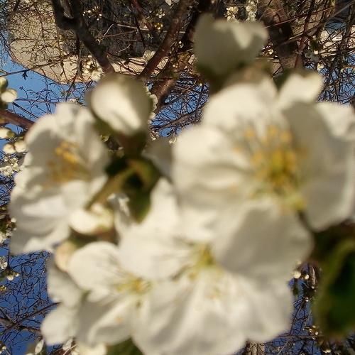 Photo #4919659
