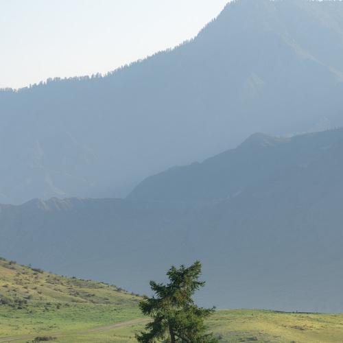 Завтрак на троих...