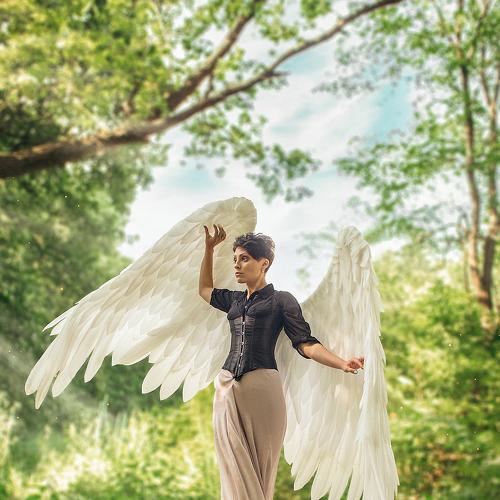 Photo #4919923