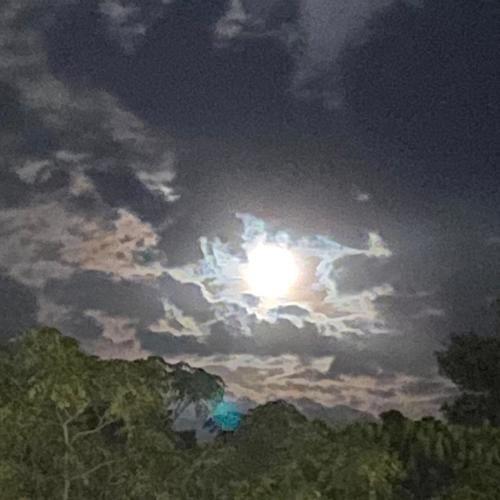 Photo #4919936