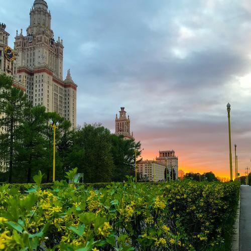 Photo #4920296