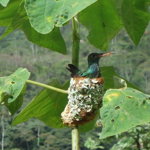 Photo #4920424