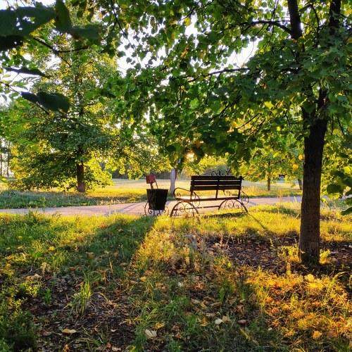 Photo #4920598
