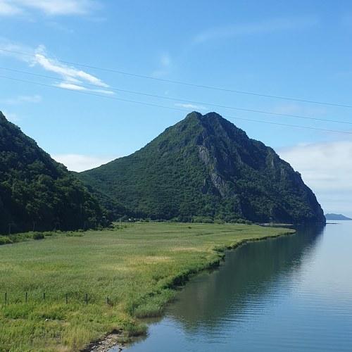 Photo #4920640