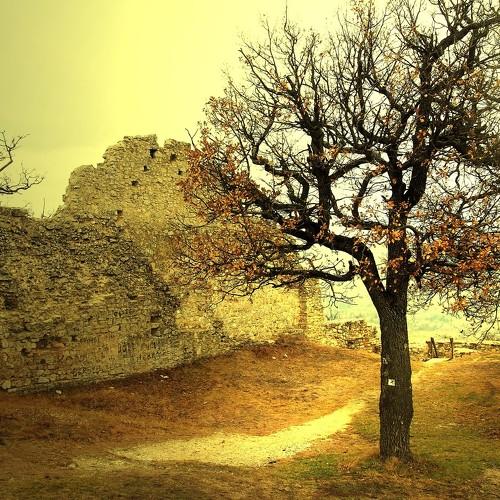 Photo #4921546