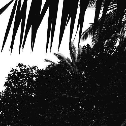 Photo #4921659