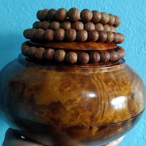 Photo #4921668