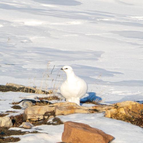 Photo #4921772
