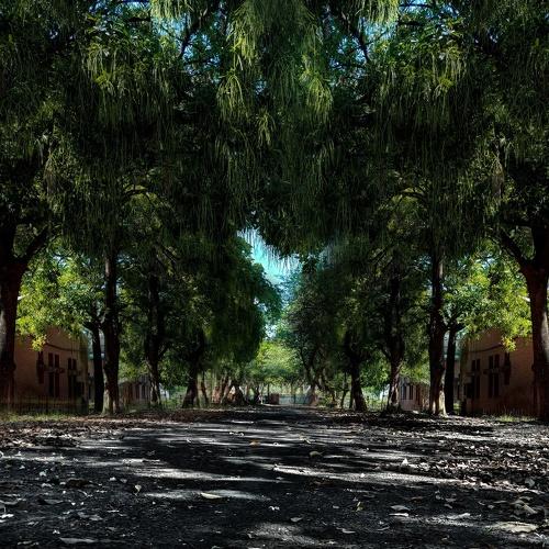 Photo #4921902
