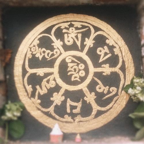 Photo #4922278
