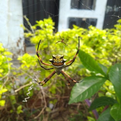 Photo #4922493