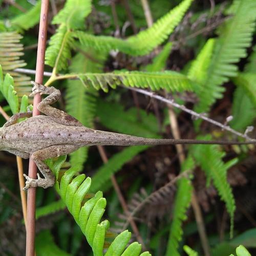 Photo #4922498