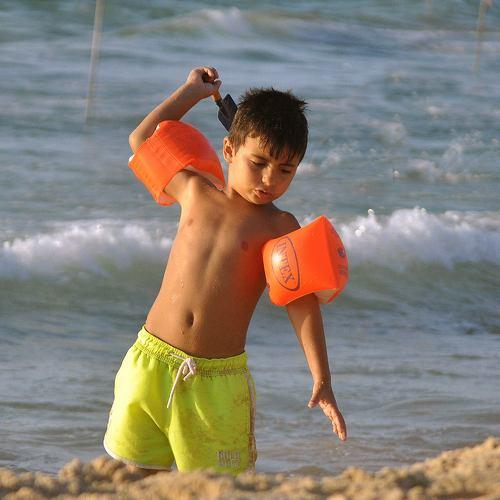 Photo #4922869